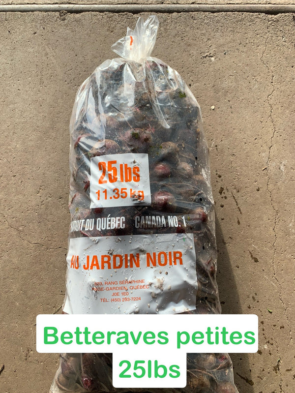 Betterave petite