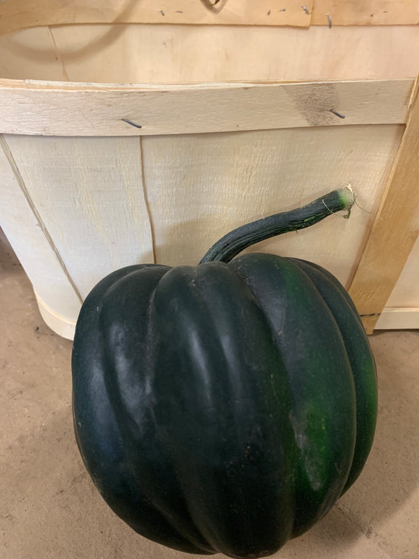 Courge poivrée