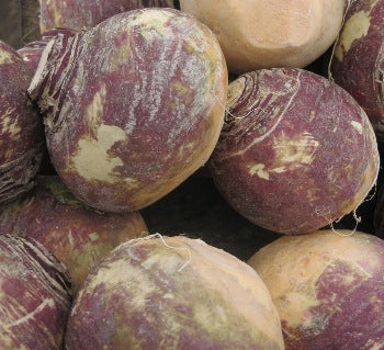 Rutabaga